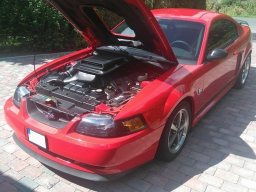 Ford Mustang Mach 1 2004